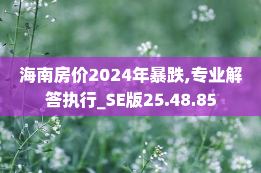 海南房价2024年暴跌,专业解答执行_SE版25.48.85