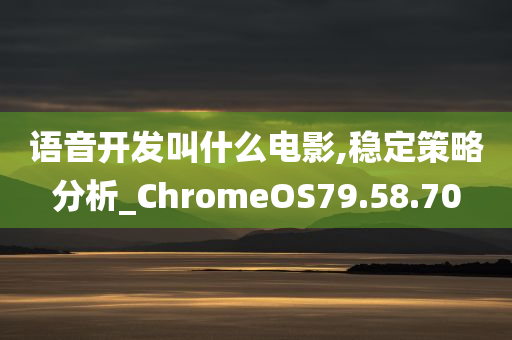 语音开发叫什么电影,稳定策略分析_ChromeOS79.58.70