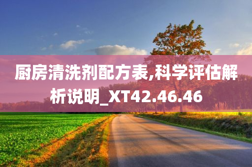 厨房清洗剂配方表,科学评估解析说明_XT42.46.46