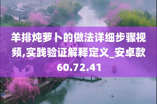 羊排炖萝卜的做法详细步骤视频,实践验证解释定义_安卓款60.72.41