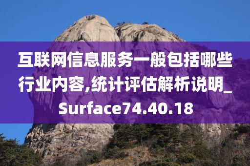 互联网信息服务一般包括哪些行业内容,统计评估解析说明_Surface74.40.18