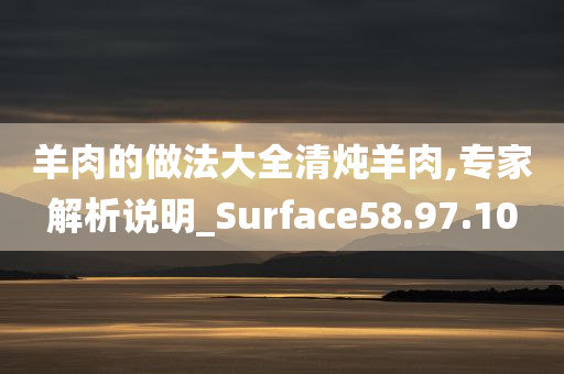 羊肉的做法大全清炖羊肉,专家解析说明_Surface58.97.10