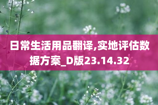 日常生活用品翻译,实地评估数据方案_D版23.14.32