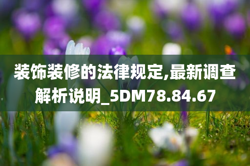 装饰装修的法律规定,最新调查解析说明_5DM78.84.67