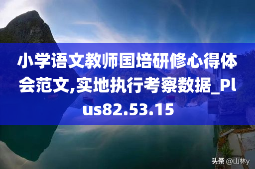 小学语文教师国培研修心得体会范文,实地执行考察数据_Plus82.53.15