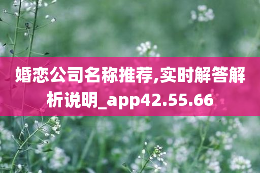 婚恋公司名称推荐,实时解答解析说明_app42.55.66