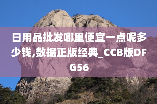 日用品批发哪里便宜一点呢多少钱,数据正版经典_CCB版DFG56