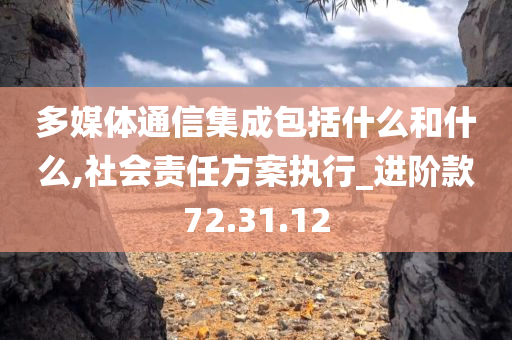 多媒体通信集成包括什么和什么,社会责任方案执行_进阶款72.31.12