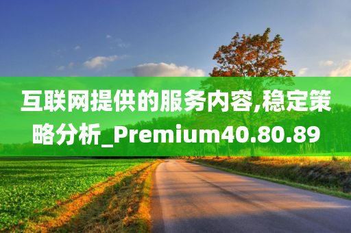 互联网提供的服务内容,稳定策略分析_Premium40.80.89