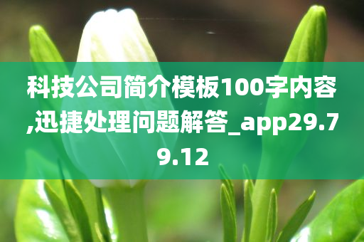 科技公司简介模板100字内容,迅捷处理问题解答_app29.79.12