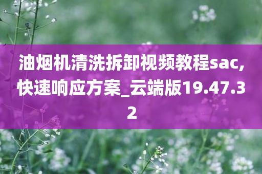 油烟机清洗拆卸视频教程sac,快速响应方案_云端版19.47.32