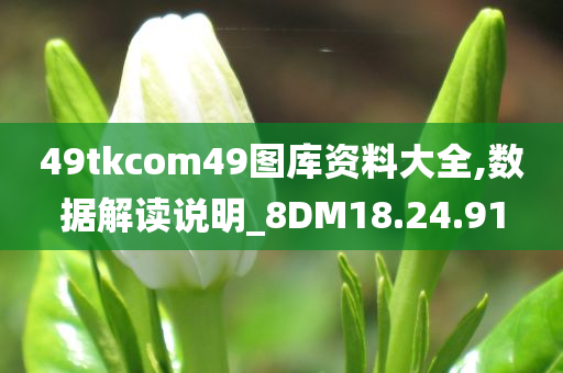 49tkcom49图库资料大全,数据解读说明_8DM18.24.91