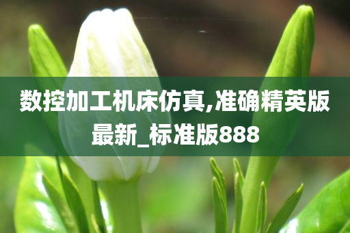 数控加工机床仿真,准确精英版最新_标准版888