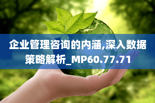 企业管理咨询的内涵,深入数据策略解析_MP60.77.71