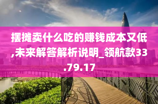 摆摊卖什么吃的赚钱成本又低,未来解答解析说明_领航款33.79.17