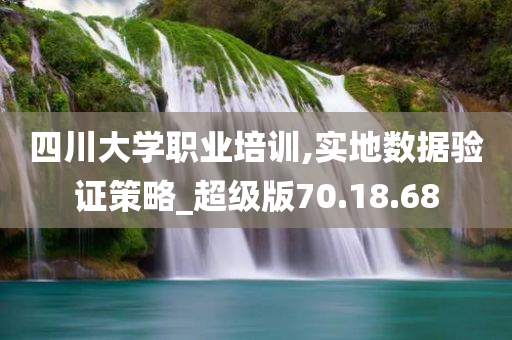 四川大学职业培训,实地数据验证策略_超级版70.18.68