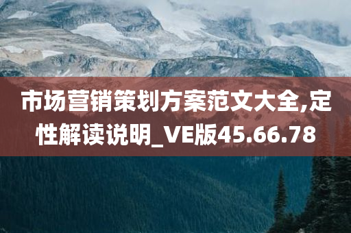 市场营销策划方案范文大全,定性解读说明_VE版45.66.78