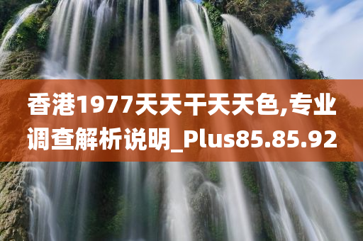 香港1977天天干天天色,专业调查解析说明_Plus85.85.92