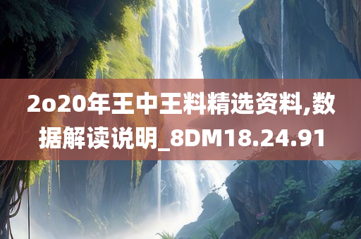 2o20年王中王料精选资料,数据解读说明_8DM18.24.91