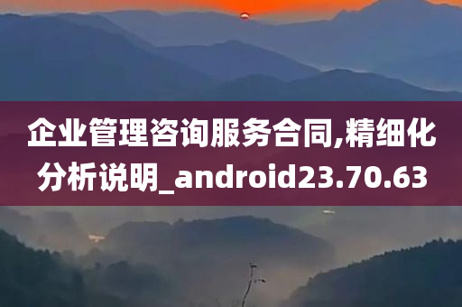 企业管理咨询服务合同,精细化分析说明_android23.70.63