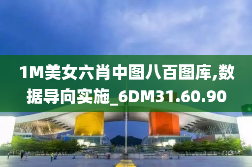 1M美女六肖中图八百图库,数据导向实施_6DM31.60.90