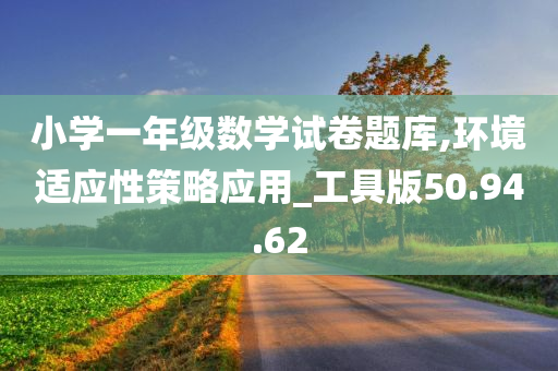 小学一年级数学试卷题库,环境适应性策略应用_工具版50.94.62