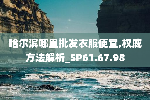 哈尔滨哪里批发衣服便宜,权威方法解析_SP61.67.98