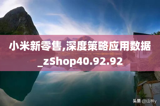 小米新零售,深度策略应用数据_zShop40.92.92