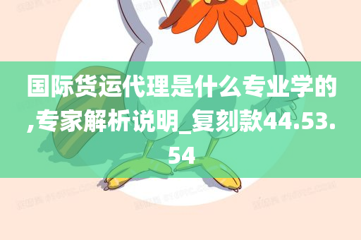 国际货运代理是什么专业学的,专家解析说明_复刻款44.53.54