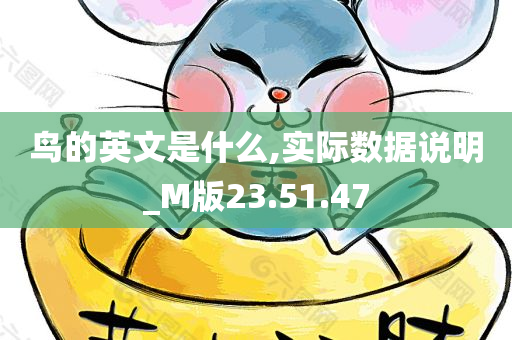 鸟的英文是什么,实际数据说明_M版23.51.47