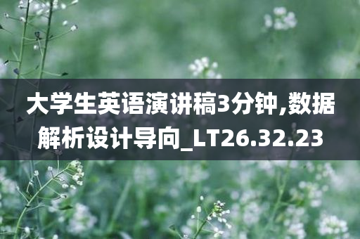 大学生英语演讲稿3分钟,数据解析设计导向_LT26.32.23