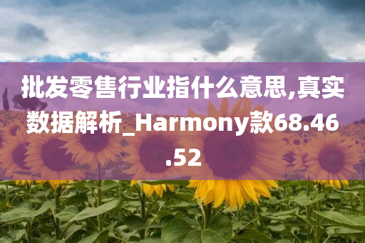 批发零售行业指什么意思,真实数据解析_Harmony款68.46.52