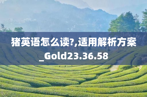 猪英语怎么读?,适用解析方案_Gold23.36.58