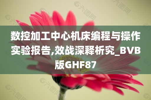 数控加工中心机床编程与操作实验报告,效战深释析究_BVB版GHF87