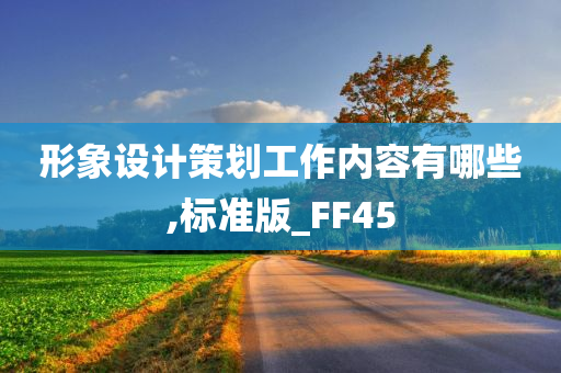 形象设计策划工作内容有哪些,标准版_FF45