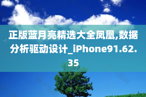 正版蓝月亮精选大全凤凰,数据分析驱动设计_iPhone91.62.35