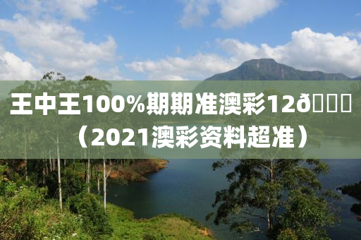 王中王100%期期准澳彩12🐎（2021澳彩资料超准）