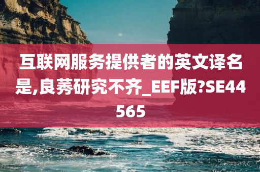 互联网服务提供者的英文译名是,良莠研究不齐_EEF版?SE44565