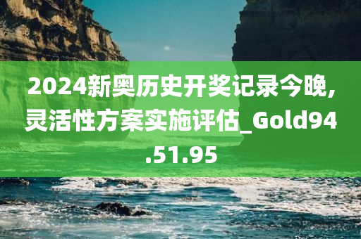 2024新奥历史开奖记录今晚,灵活性方案实施评估_Gold94.51.95