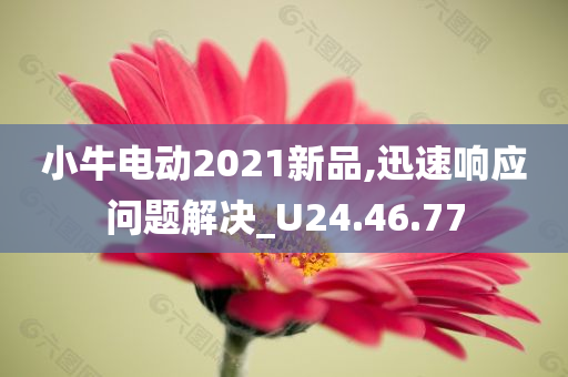 小牛电动2021新品,迅速响应问题解决_U24.46.77