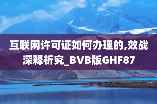 互联网许可证如何办理的,效战深释析究_BVB版GHF87