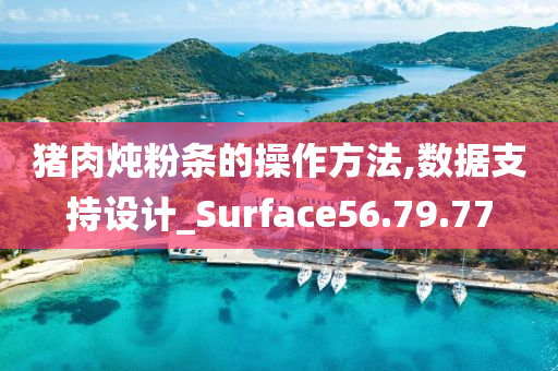 猪肉炖粉条的操作方法,数据支持设计_Surface56.79.77