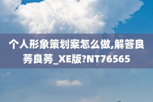 个人形象策划案怎么做,解答良莠良莠_XE版?NT76565