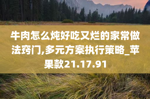 牛肉怎么炖好吃又烂的家常做法窍门,多元方案执行策略_苹果款21.17.91