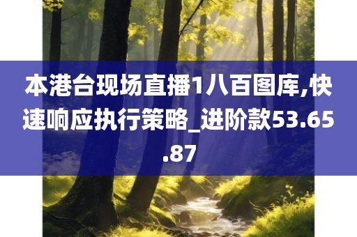 本港台现场直播1八百图库,快速响应执行策略_进阶款53.65.87