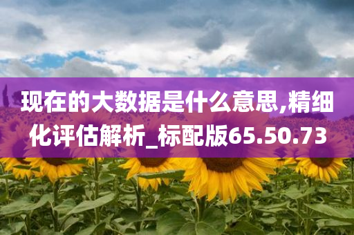 现在的大数据是什么意思,精细化评估解析_标配版65.50.73