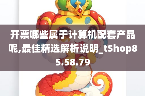 开票哪些属于计算机配套产品呢,最佳精选解析说明_tShop85.58.79