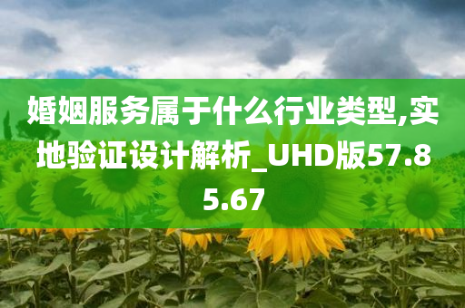 婚姻服务属于什么行业类型,实地验证设计解析_UHD版57.85.67