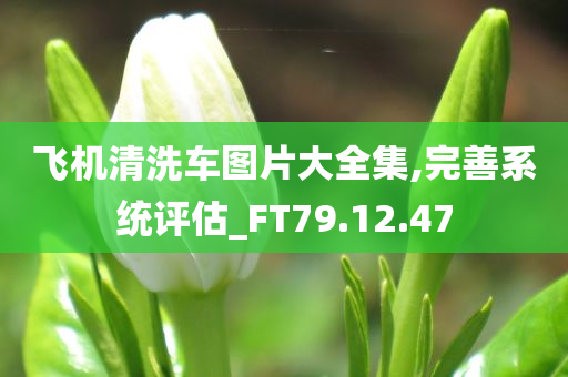 飞机清洗车图片大全集,完善系统评估_FT79.12.47