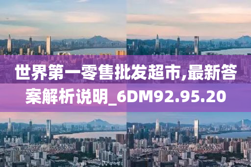 世界第一零售批发超市,最新答案解析说明_6DM92.95.20